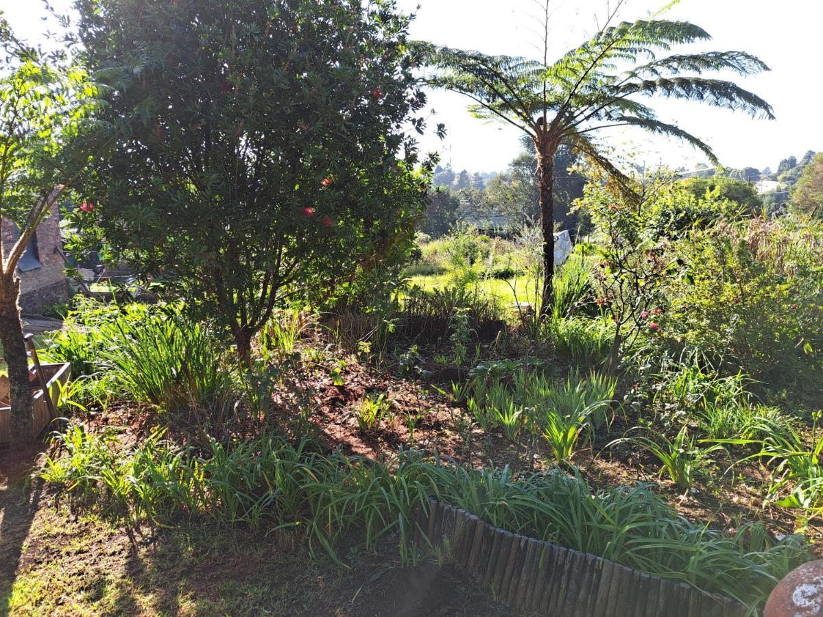 Horizon View Chalets Graskop Εξωτερικό φωτογραφία